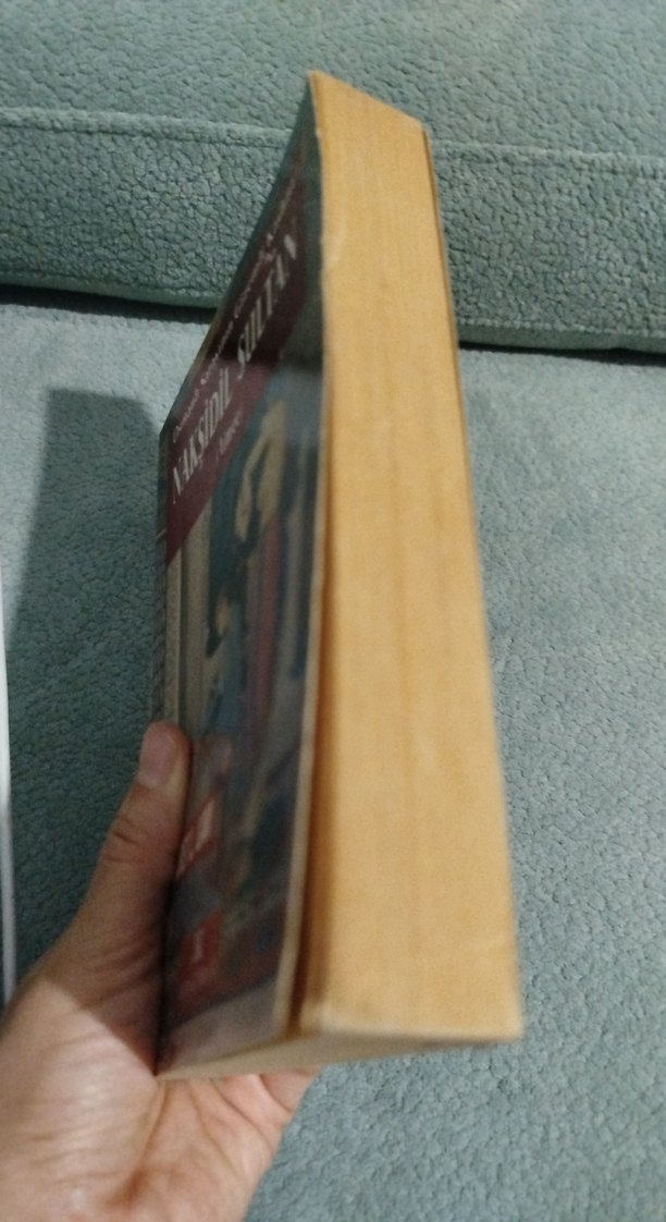 Nakşidil Sultan - Osmanlı Sarayı'nın Gizemli Kadını - Görsel 3