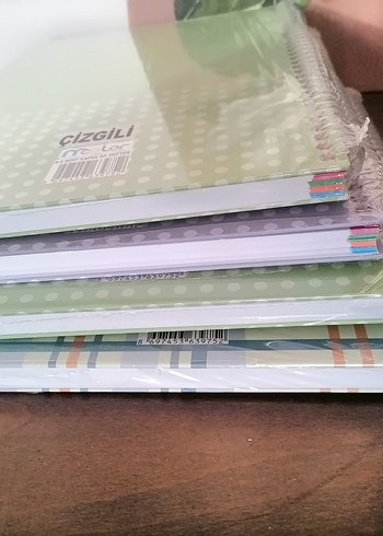 Çizgili Defter ve Kareli defter - Görsel 2