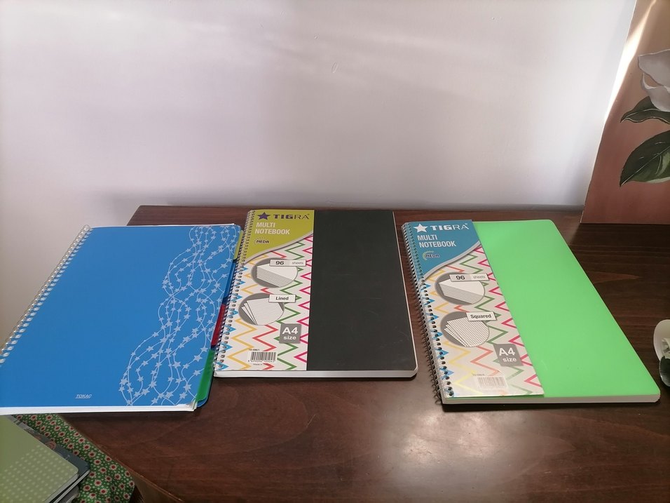 Çizgili Defter ve Kareli defter - Görsel 3