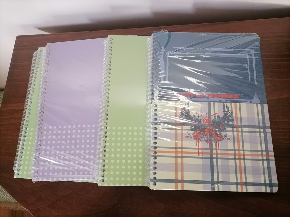 Çizgili Defter ve Kareli defter - Görsel 5