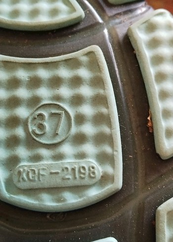 Düğmeli Gri-Turkuaz Erkek Su Ayakkabısı - Görsel 3