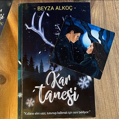 Beden Kar küresi - kar tanesi