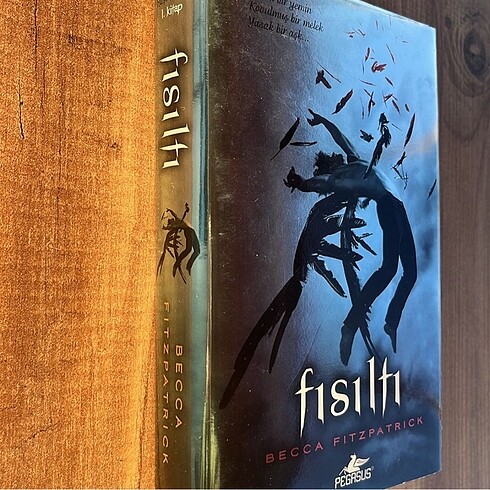 Fısıltı hush hush serisi 1
