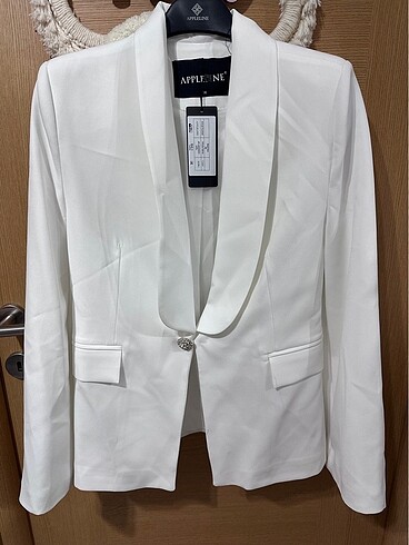 Blazer ceket