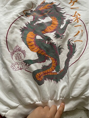 Diğer Sweatshirt desenli