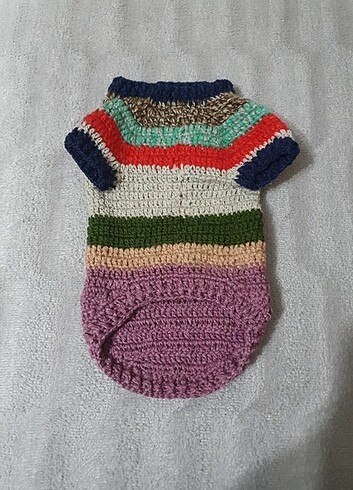 Kedi kazağı 