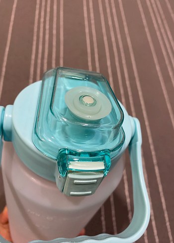 Mavi suluk - Görsel 3