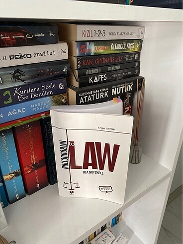 INTRODUCTION TO LAW