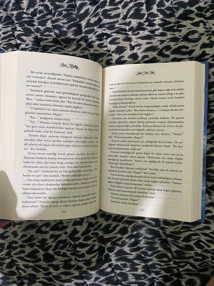 Buz Krallığı - Sena Nur Işık - Görsel 3