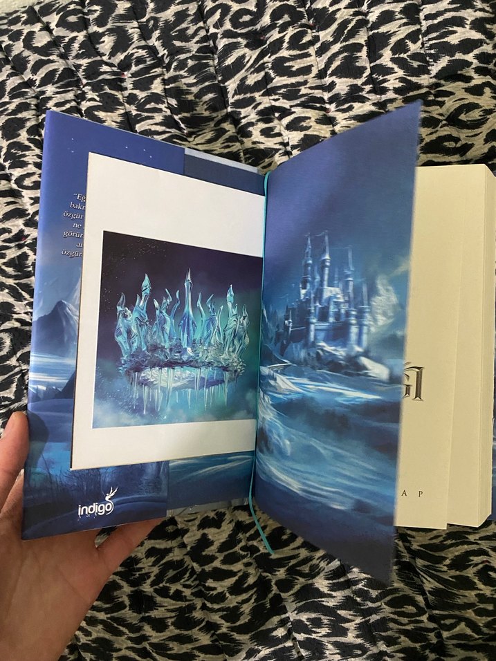 Buz Krallığı - Sena Nur Işık - Görsel 2