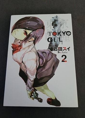 Manga ve manga çizim kitabı.