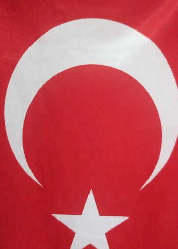  Şanlı Türk Bayrağı