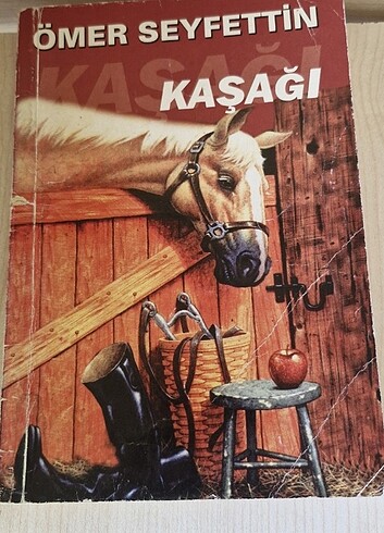 Kaşağı kitap