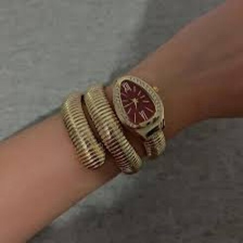 Snake Model Saat