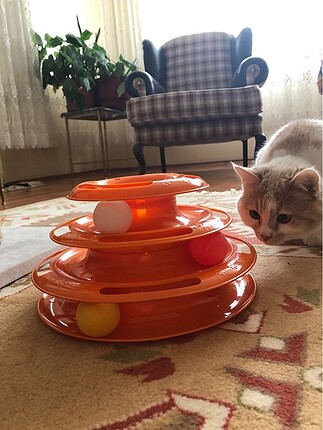 No Brand Kedi oyuncağı