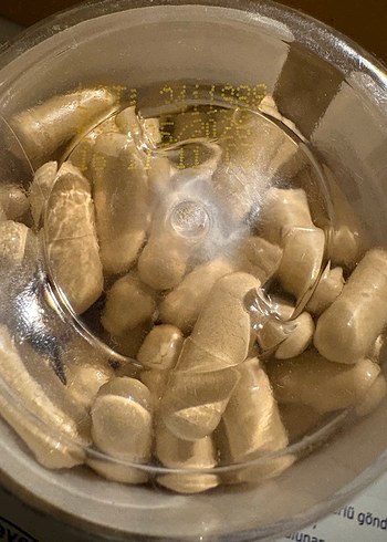 Genius Lions Mane Hafıza Odaklanma ve Mood - Görsel 6