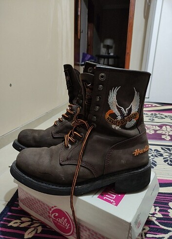 39 Beden Harley bot