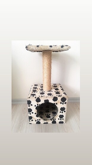 Kedi Evi