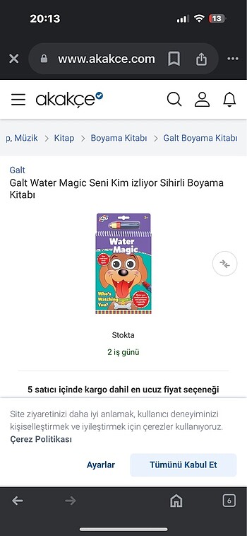 SİHİRLİ KİTAP - Görsel 2