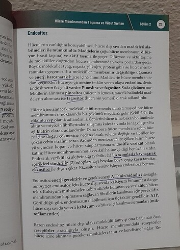 Beden Fizyoloji kitabı