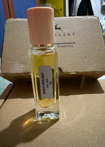 Luxury extrait de parfüm ysl caftan 15 ml - Görsel 2