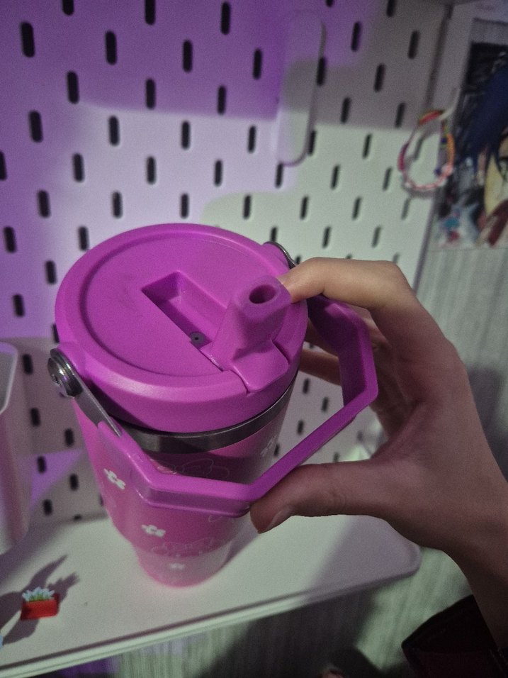 my melody stanley :3 - Görsel 4