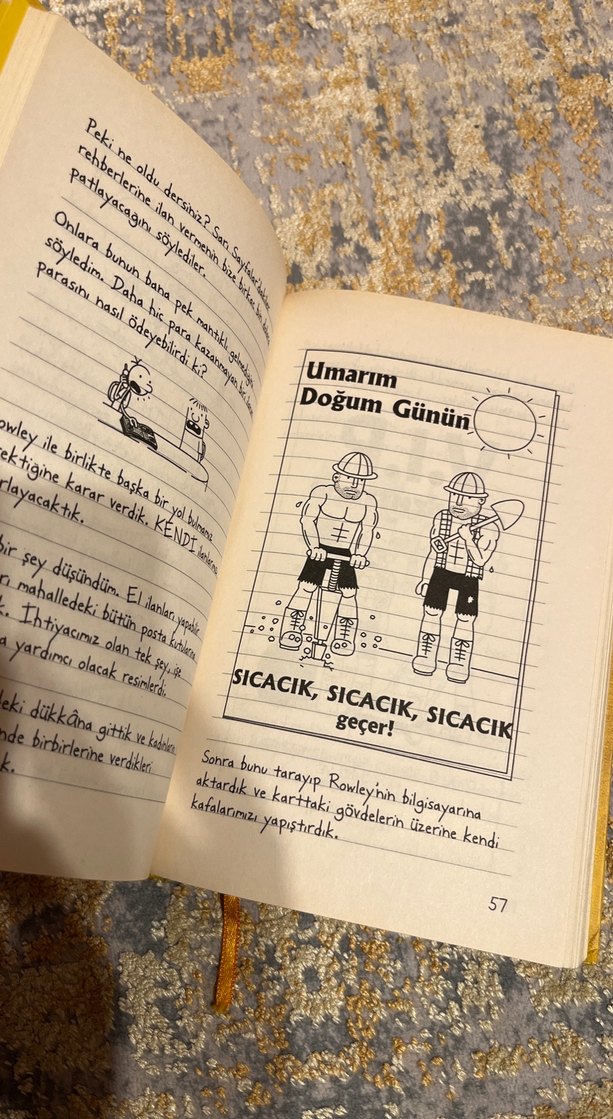 Saftirik Greg'in Günlüğü: İşte Şimdi Yandık! - Görsel 4