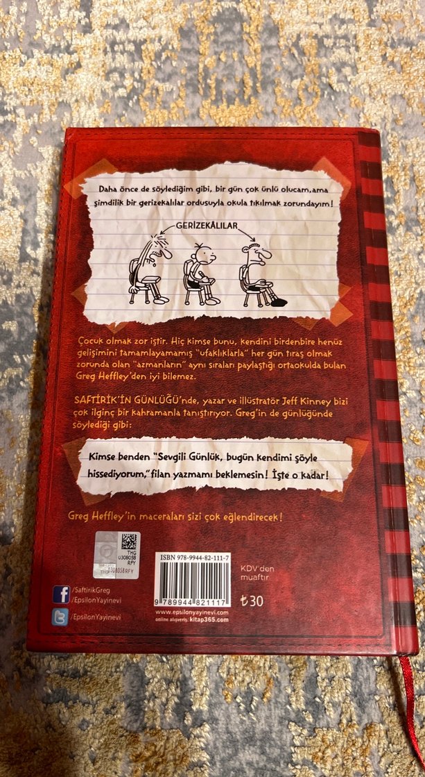 Saftirik Greg'in Günlüğü - Jeff Kinney - Görsel 2