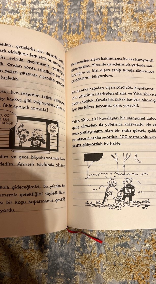 Saftirik Greg'in Günlüğü - Jeff Kinney - Görsel 3
