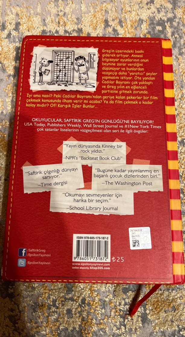 Wimpy Kid Saftirik Greg'in Günlüğü - Karışık İşler - Görsel 2