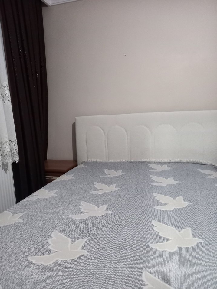 Ekru  Baskılı Kelebek  ve  gri kuş Desenli Yatak Örtüsü pike - Görsel 3