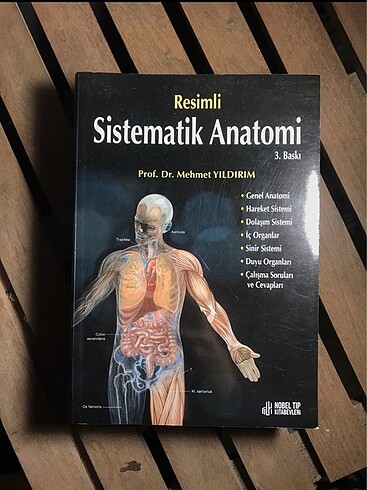 sistematik anatomi