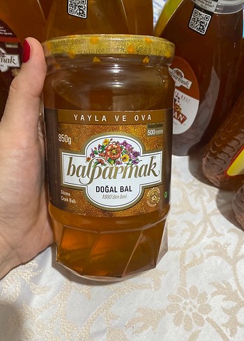 Balparmak Yayla ve Ova Doğal Bal 850g