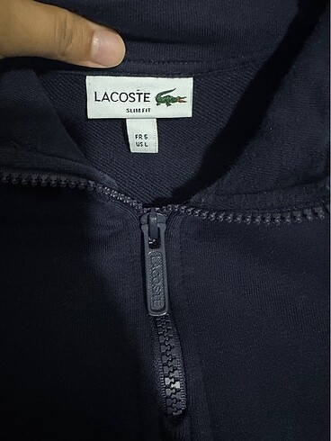 l Beden Lacoste sweatshirt