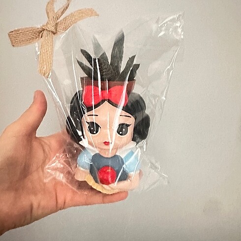 Pamuk prenses saksı - Görsel 3