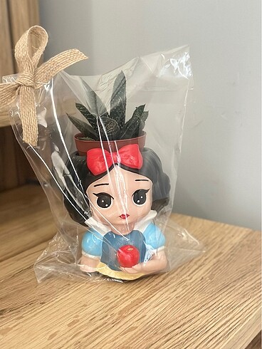 Pamuk prenses saksı - Görsel 2