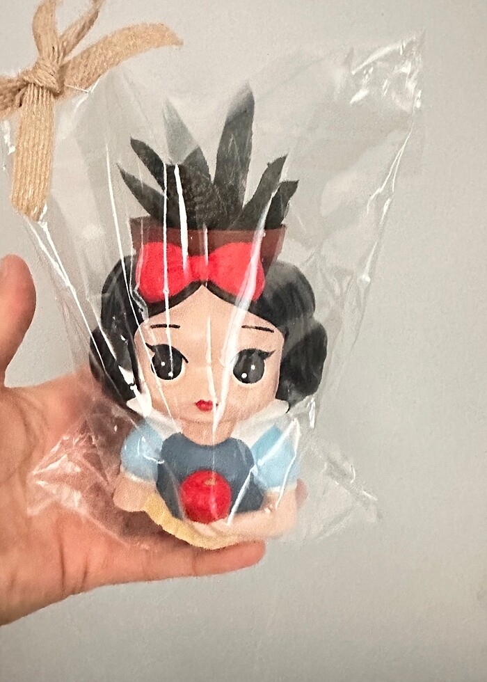 Pamuk prenses saksı - Görsel 3