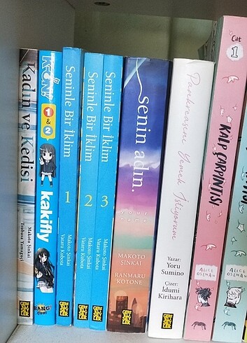 Beden manga, çizgi roman
