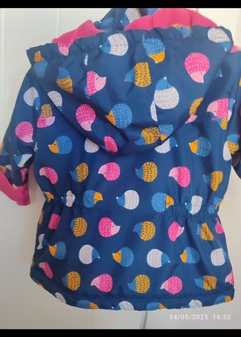 Renkli Kapüşonlu Kız Çocuk Montu - Görsel 5