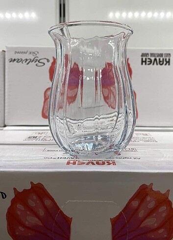 Bardak 
