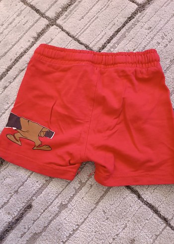 Renkli Baskılı Erkek Çocuk Şortu - Görsel 2