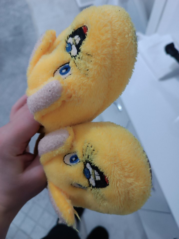 Sarı Panduf - Görsel 2