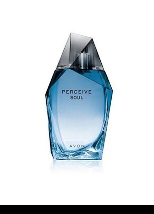 Perceive soul 100 ml erkek parfüm 