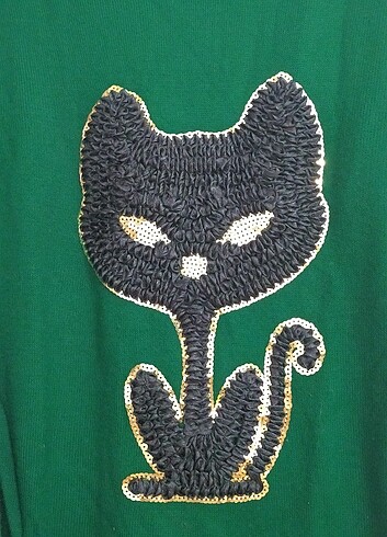Diğer Kedi kazak
