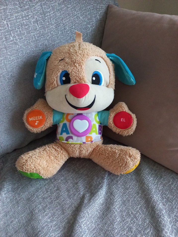 Renkli Eğitici Peluş Köpek Oyuncak - Görsel 2