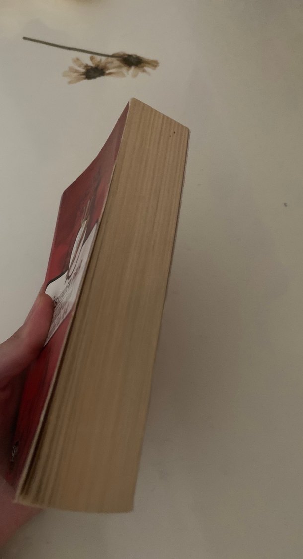 İskender Pala - Babil'de Ölüm İstanbul'da Aşk - Görsel 3