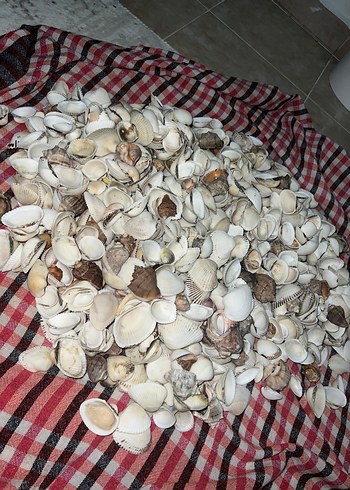  Beden Kolye