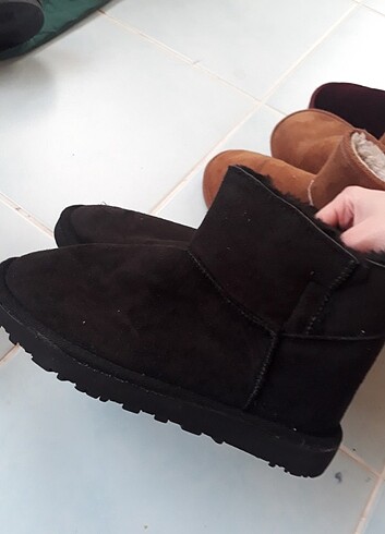 Ugg bot