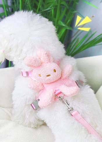 EVCİL HAYVAN PELUŞ AYICIKLI GÖĞÜS GEZDİRME TASMASI SETİ - Görsel 5