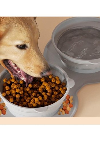 Mikopet Katlanabilir İkili Mama ve Su Kabı - Görsel 4